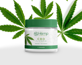 Graphic Design entry 1783253 submitted by lurth to the Graphic Design for The Hemp Company run by outcastdistro