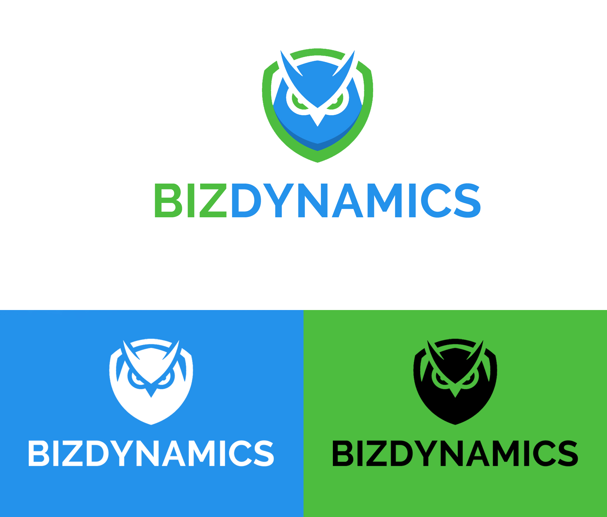 Logo Design entry 1784983 submitted by Saga09110 to the Logo Design for  BizDynamics run by kmuch