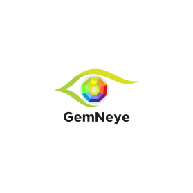 Logo Design entry 1797995 submitted by farikh to the Logo Design for GemNeye run by VioletLionInc