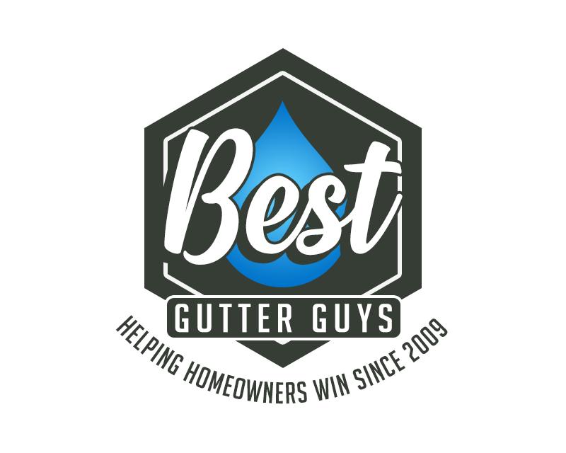 Logo Design entry 1803241 submitted by ChampenG to the Logo Design for Best Gutter Guys run by MOJOWill