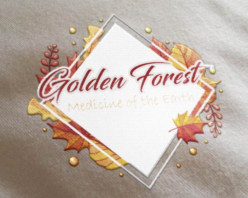 Logo Design entry 1889625 submitted by BulatITA