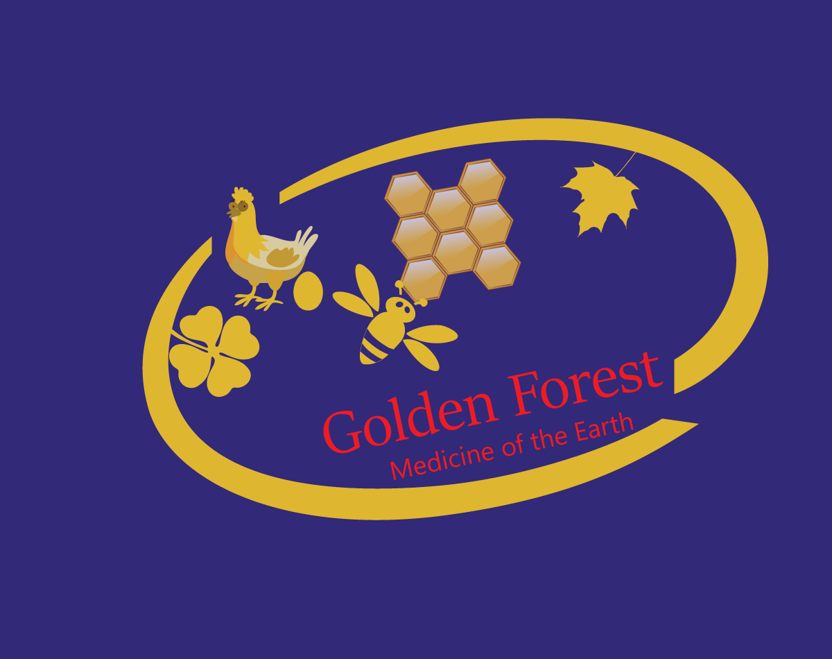 Logo Design entry 1892597 submitted by MD RASHID-27
