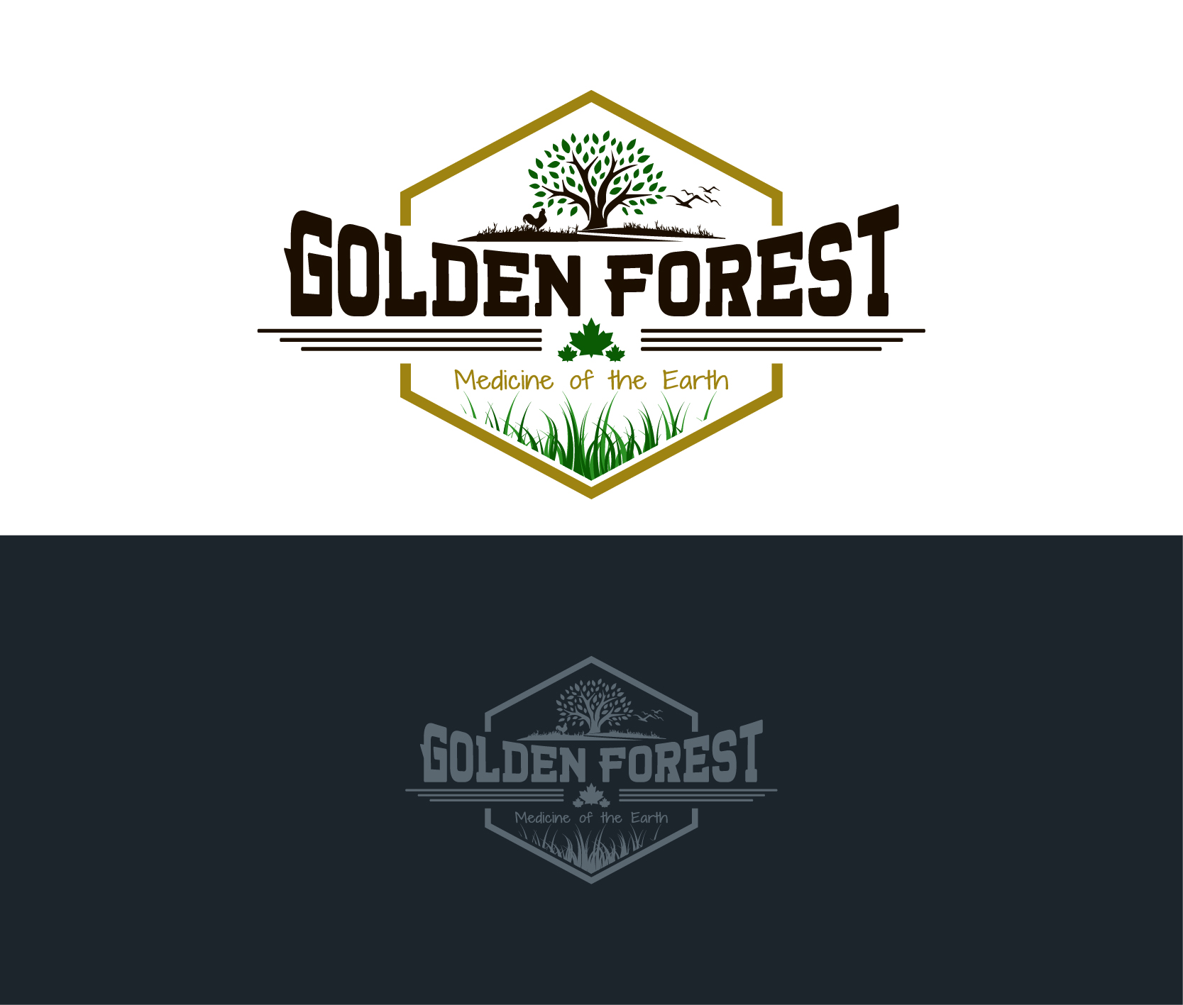 Logo Design entry 1892778 submitted by Dhetyaz