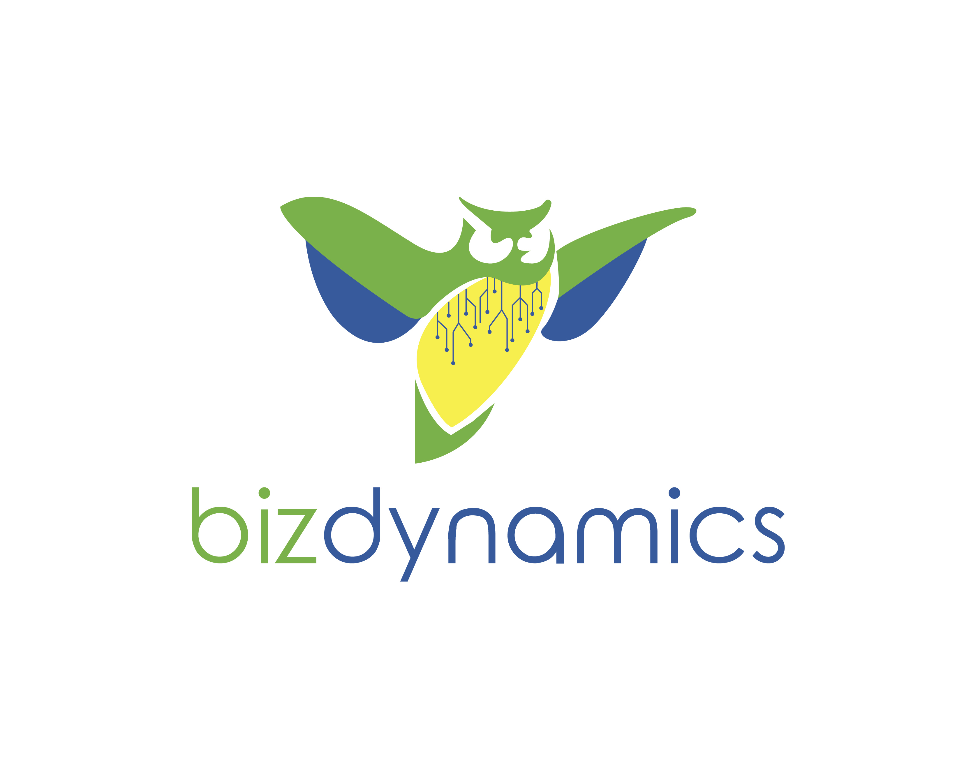 Logo Design entry 1828198 submitted by rakzhaw to the Logo Design for Biz Dynmanics run by kmuch