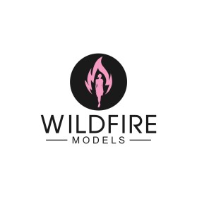 Logo Design Entry 1839258 submitted by Salman to the contest for Wildfire Models run by aknox0929