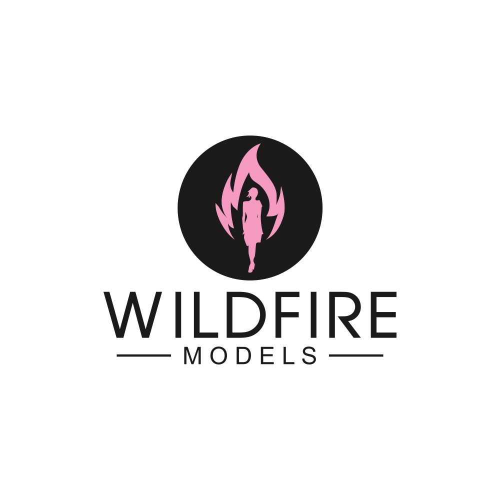 Logo Design entry 1839258 submitted by Salman to the Logo Design for Wildfire Models run by aknox0929