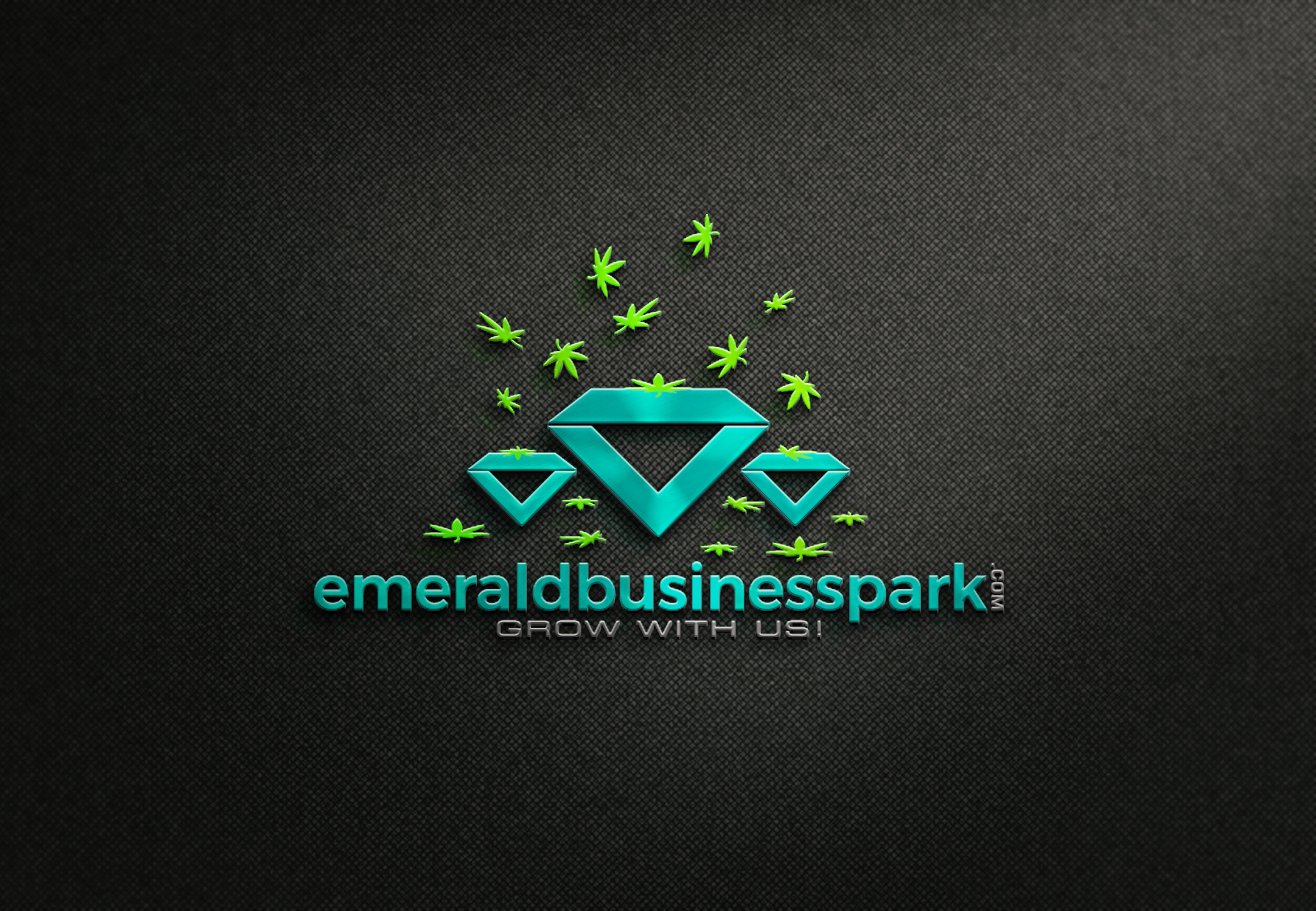 Logo Design entry 1905196 submitted by Dibya93