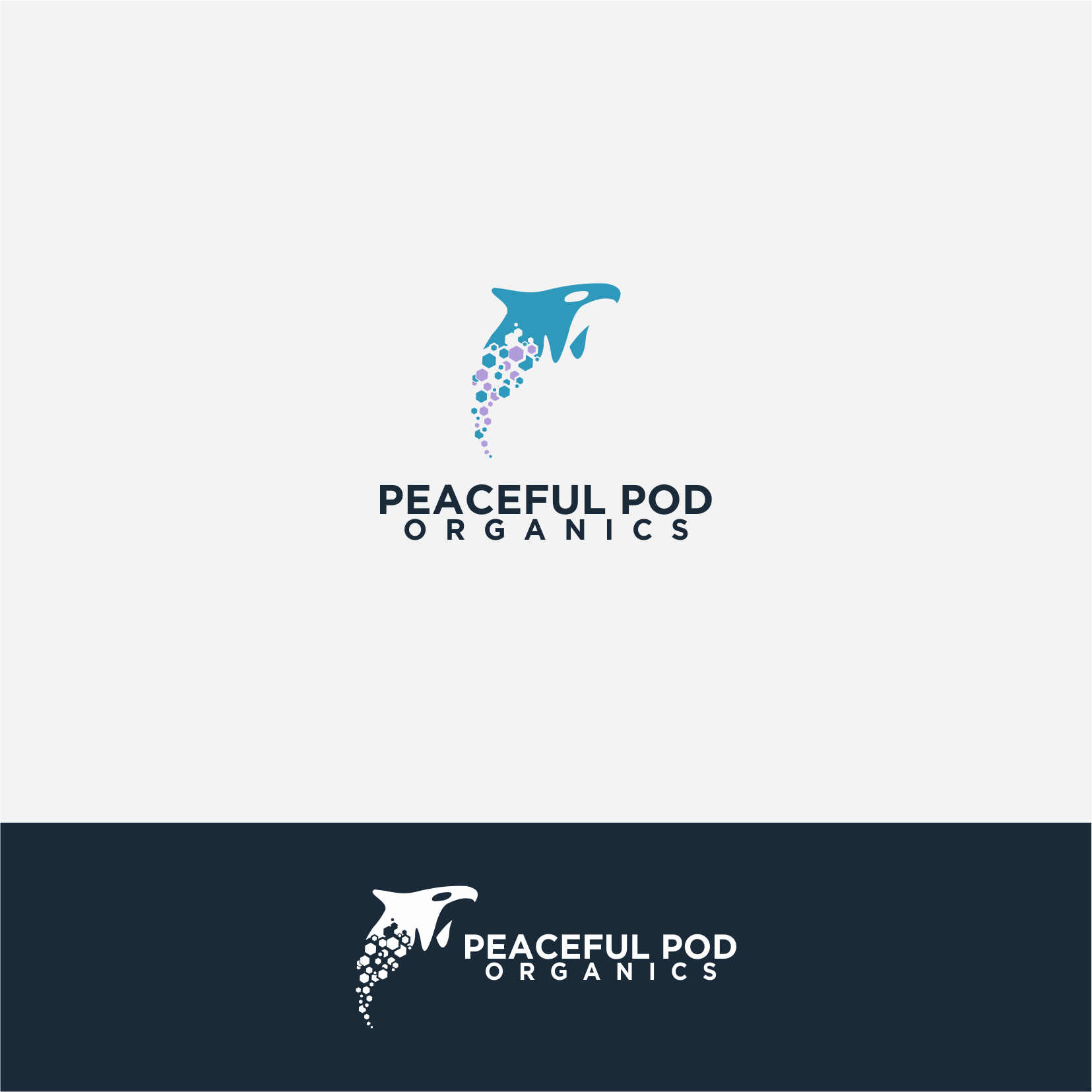 Logo Design entry 1916047 submitted by Aminxkee