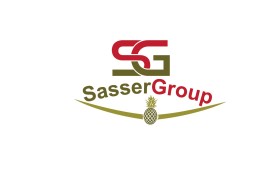 Logo Design entry 1851681 submitted by dibbofficial to the Logo Design for SasserGroup run by kylesasser