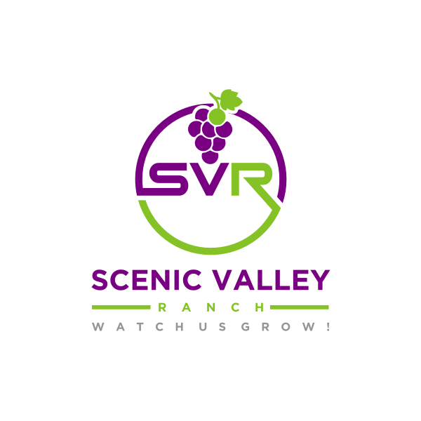 Logo Design entry 1858144 submitted by jannatan to the Logo Design for Scenic Valley Ranch run by SVRVineyard