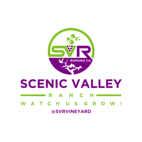 Logo Design entry 1858125 submitted by jannatan to the Logo Design for Scenic Valley Ranch run by SVRVineyard
