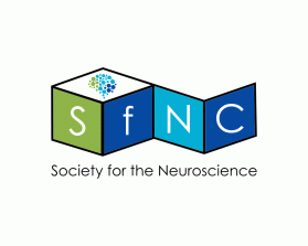 Logo Design entry 1861448 submitted by irnawan to the Logo Design for Society for the Neuroscience of Creativity run by indrevis