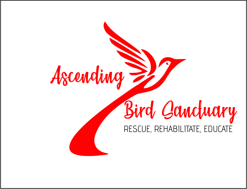 Logo Design entry 1861857 submitted by kirandalvi to the Logo Design for Ascending Bird Sanctuary run by AHopkins