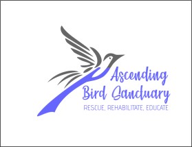 Logo Design entry 1861857 submitted by John_Kopings to the Logo Design for Ascending Bird Sanctuary run by AHopkins