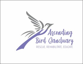 Logo Design entry 1861858 submitted by kirandalvi to the Logo Design for Ascending Bird Sanctuary run by AHopkins