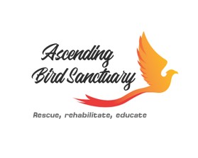 Logo Design Entry 1861859 submitted by PRO OUB to the contest for Ascending Bird Sanctuary run by AHopkins