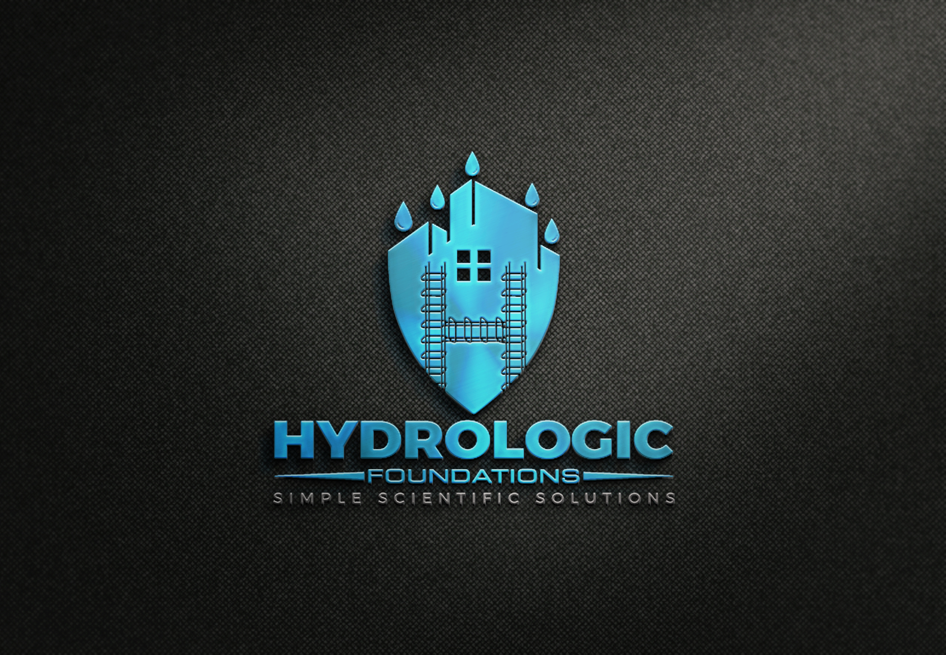 Logo Design entry 1924188 submitted by Dibya93