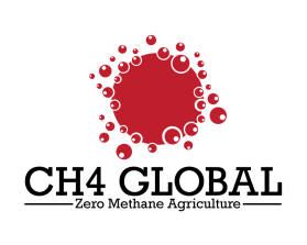 Logo Design entry 1863145 submitted by anik to the Logo Design for CH4 Global run by Rowenapullan