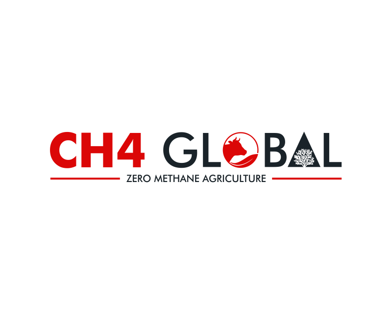 Logo Design entry 1863275 submitted by sarada art to the Logo Design for CH4 Global run by Rowenapullan