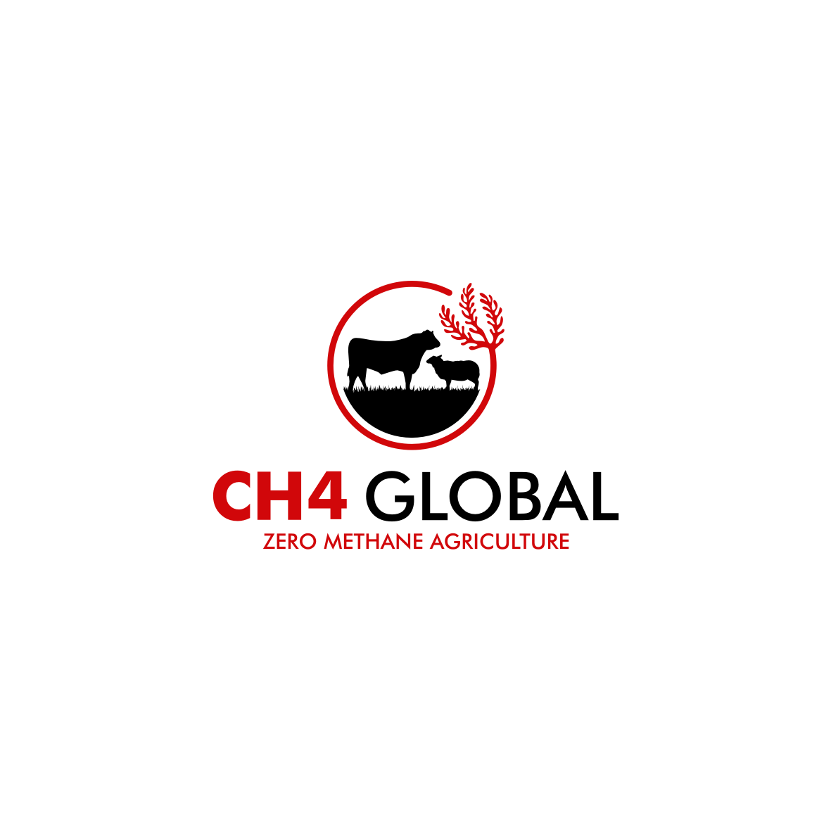 Graphic Design entry 1884541 submitted by abdol kh to the Graphic Design for CH4 Global run by Rowenapullan
