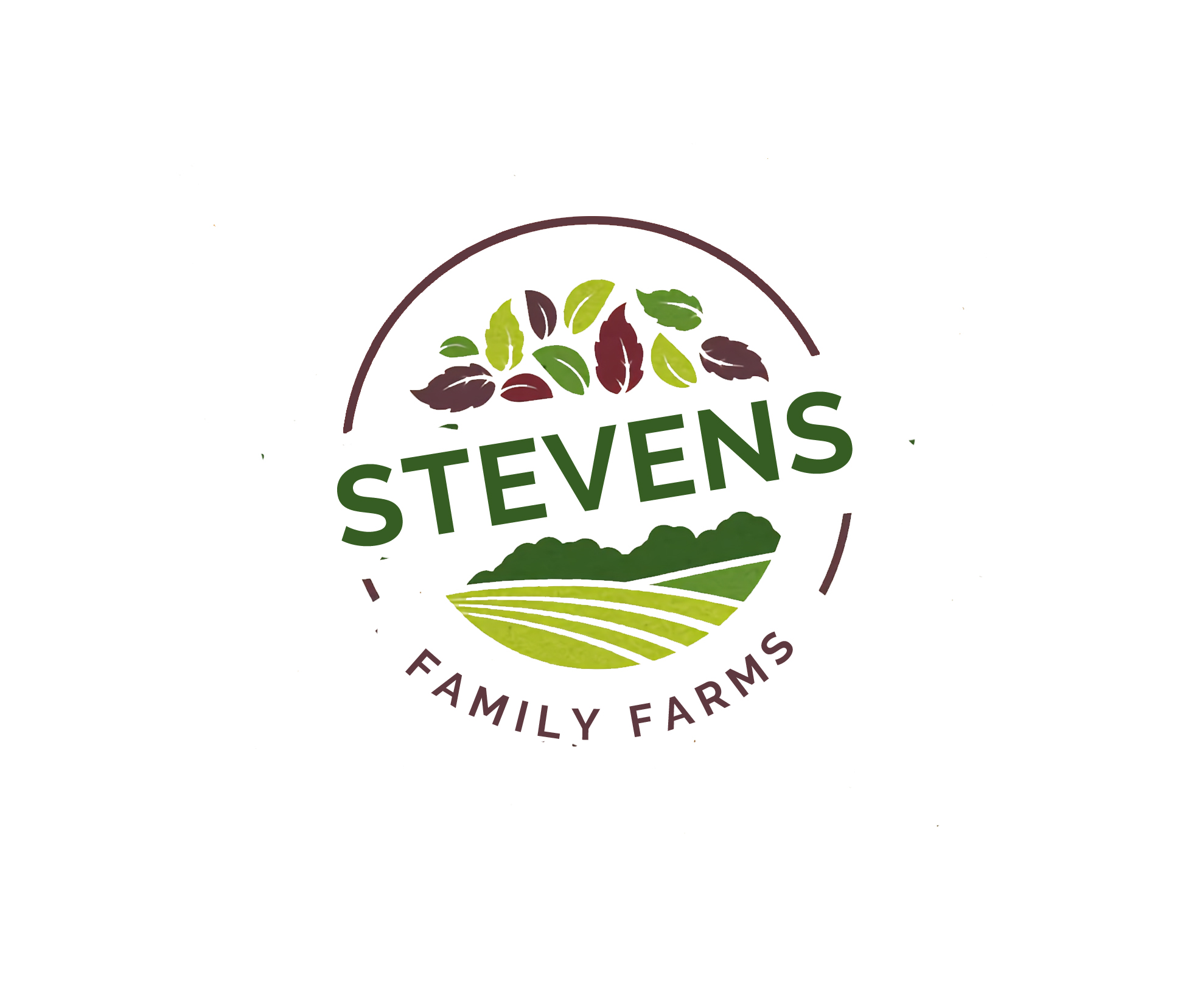 Logo Design entry 1888342 submitted by Olarion to the Logo Design for Stevens Family Farm - SEE UPLOADED EXAMPLE run by kenny@kasmedia.io