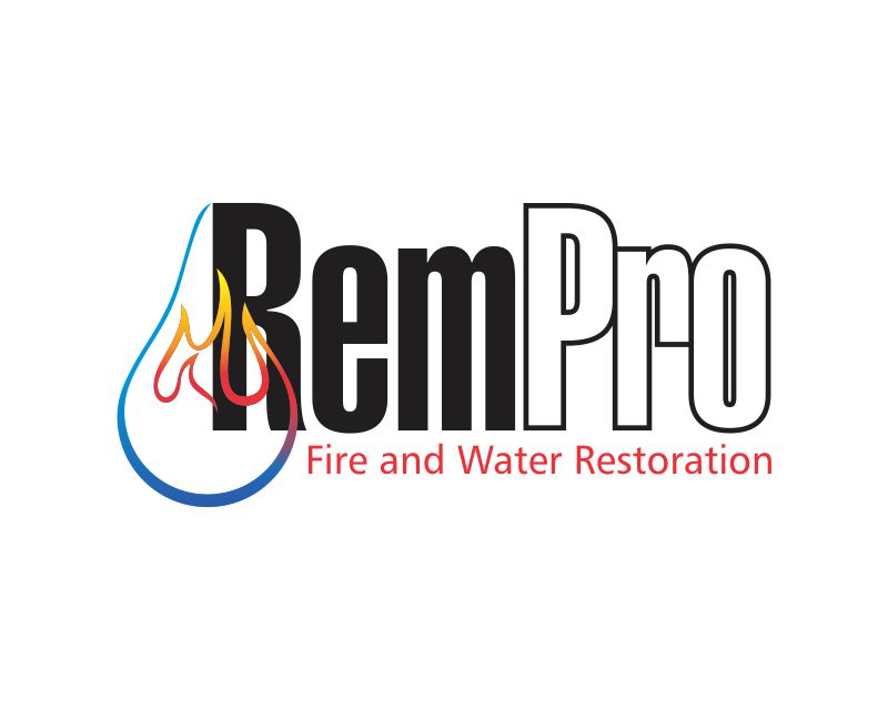 Logo Design entry 1890507 submitted by Di-sign to the Logo Design for RemPro run by delaneynelson23