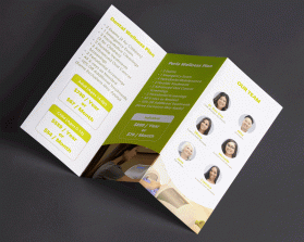 Brochure Design entry 1960514 submitted by devintaule