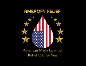 Logo Design Entry 1909729 submitted by @KaranDevol to the contest for AmerOfy Relief run by elady