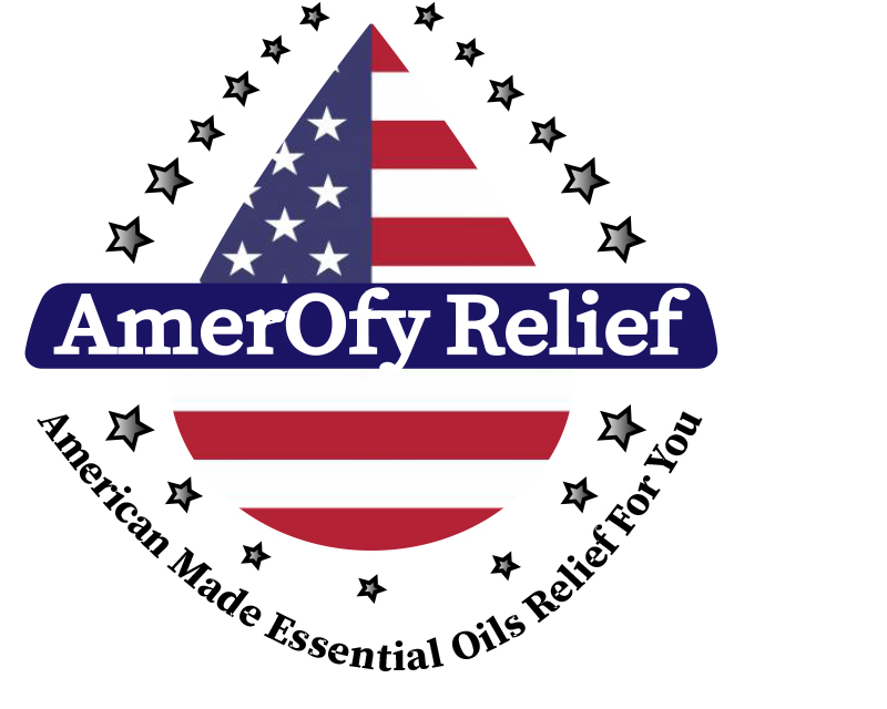 Logo Design entry 1909851 submitted by Novin to the Logo Design for AmerOfy Relief run by elady