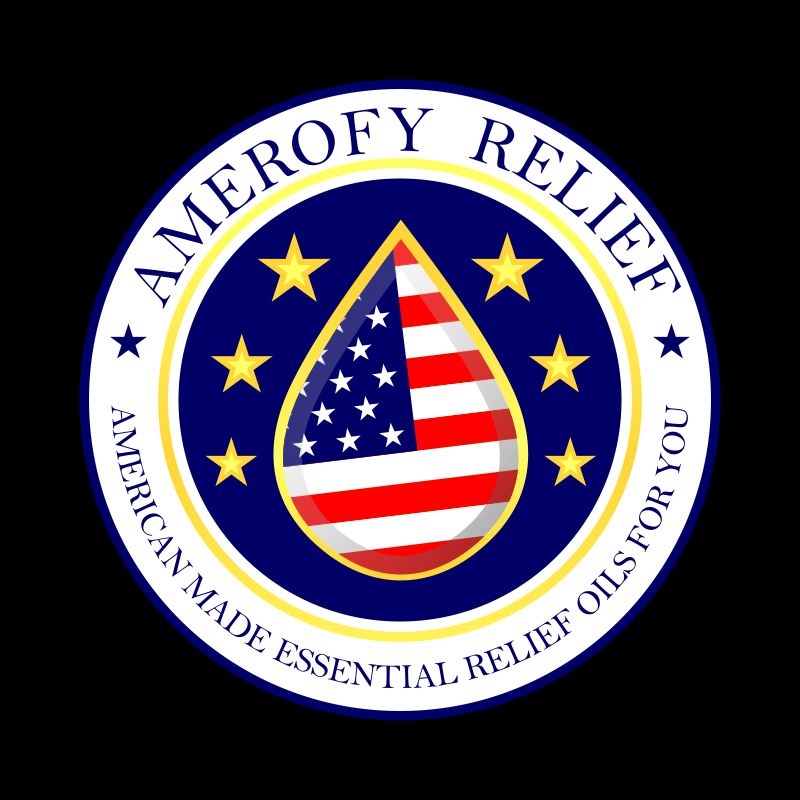 Logo Design entry 1909862 submitted by Scribe.co to the Logo Design for AmerOfy Relief run by elady