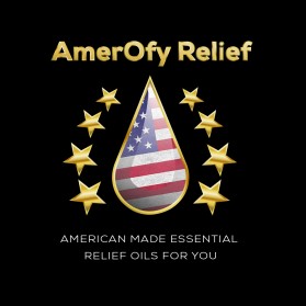 Logo Design Entry 1909869 submitted by Ternak Design to the contest for AmerOfy Relief run by elady