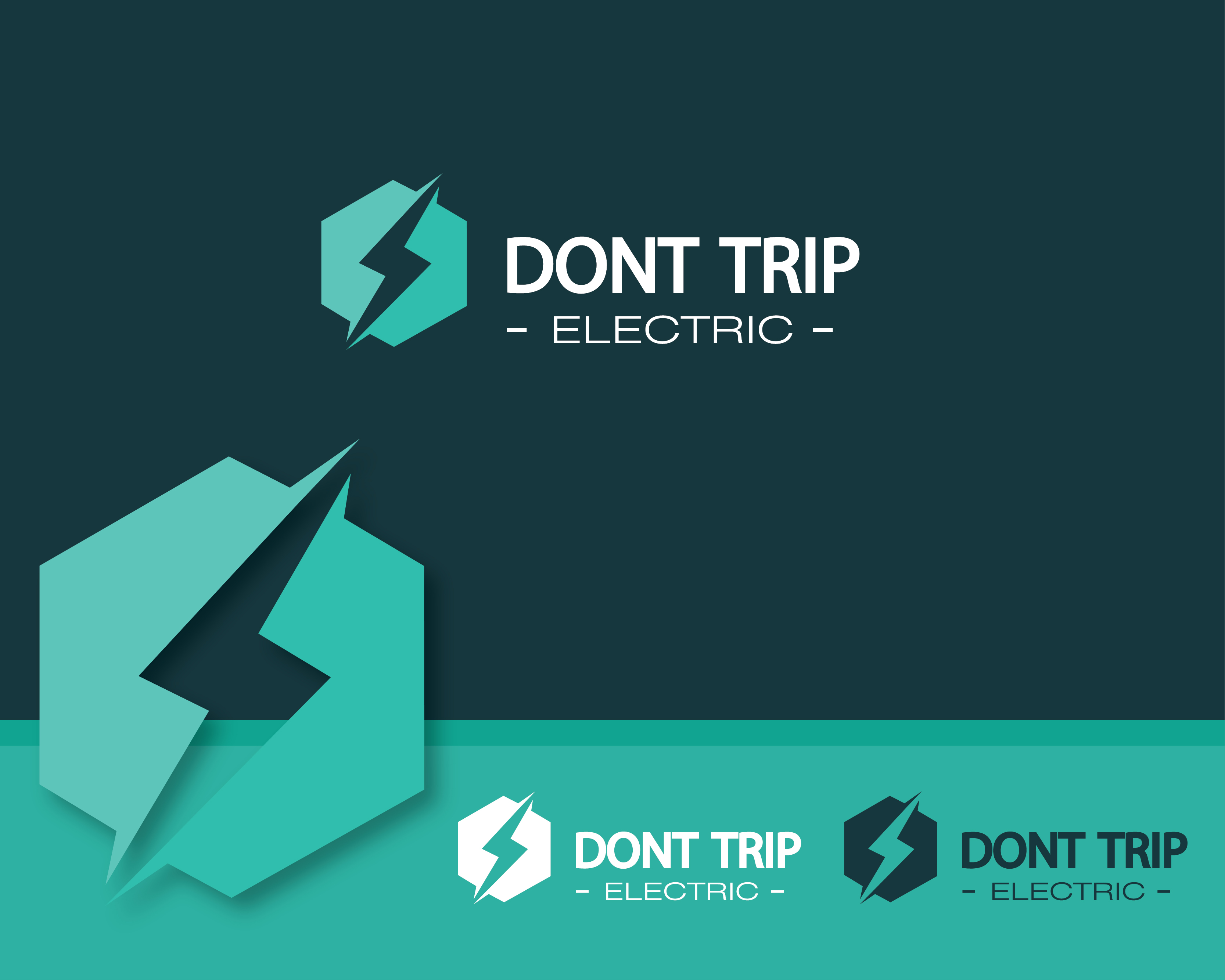 Logo Design entry 1929359 submitted by Gilang Rasyidi to the Logo Design for Don't Trip Electric run by DavidGaray