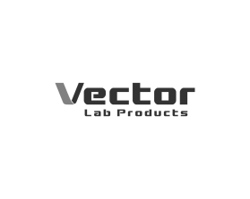 Logo Design entry 1934291 submitted by hery_cdt to the Logo Design for Vector run by astout