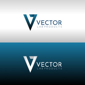Logo Design Entry 1934546 submitted by Borja Robles to the contest for Vector run by astout