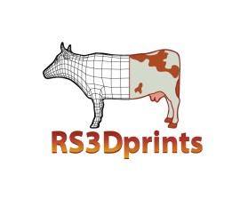Logo Design entry 1941997 submitted by kevinfelix to the Logo Design for RS3Dprints run by dinktheory