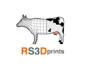 Logo Design entry 1942005 submitted by Sudirja to the Logo Design for RS3Dprints run by dinktheory