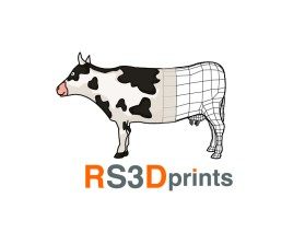 Logo Design entry 1942014 submitted by SplashBucket to the Logo Design for RS3Dprints run by dinktheory