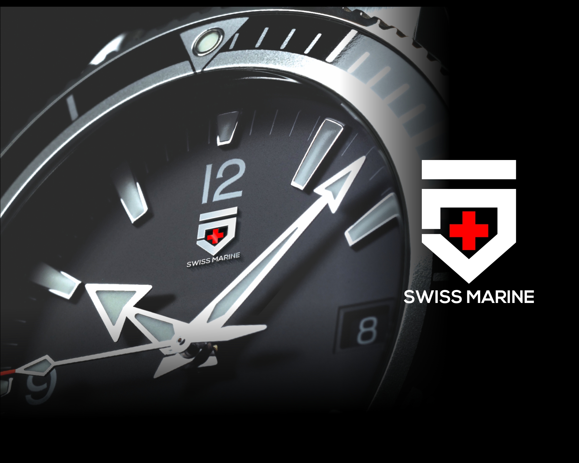 Logo Design entry 1963863 submitted by Linaa to the Logo Design for Swiss Marine run by headrips