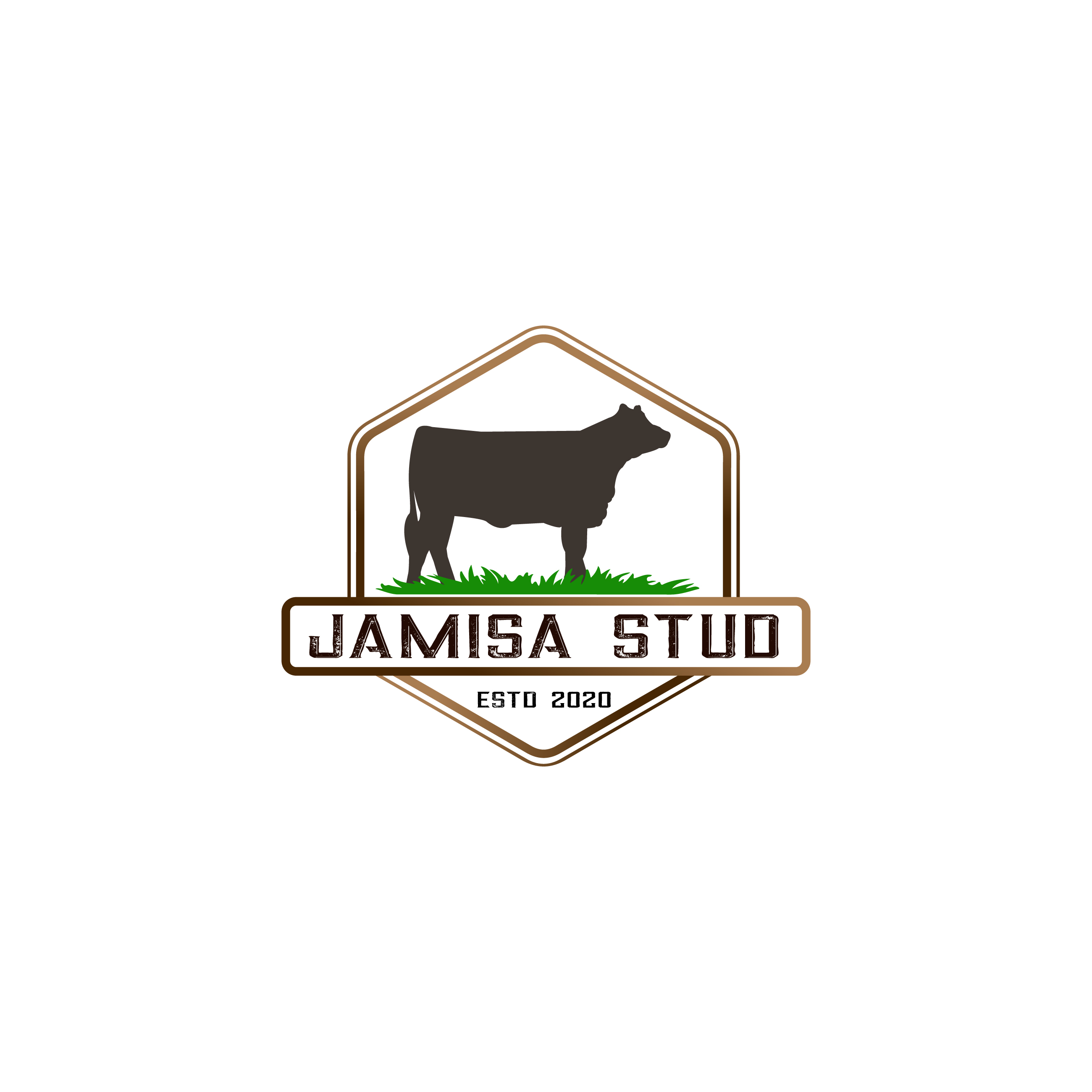 Logo Design entry 1980820 submitted by Shark Attack to the Logo Design for Jamisa Stud  run by HealthJunkie