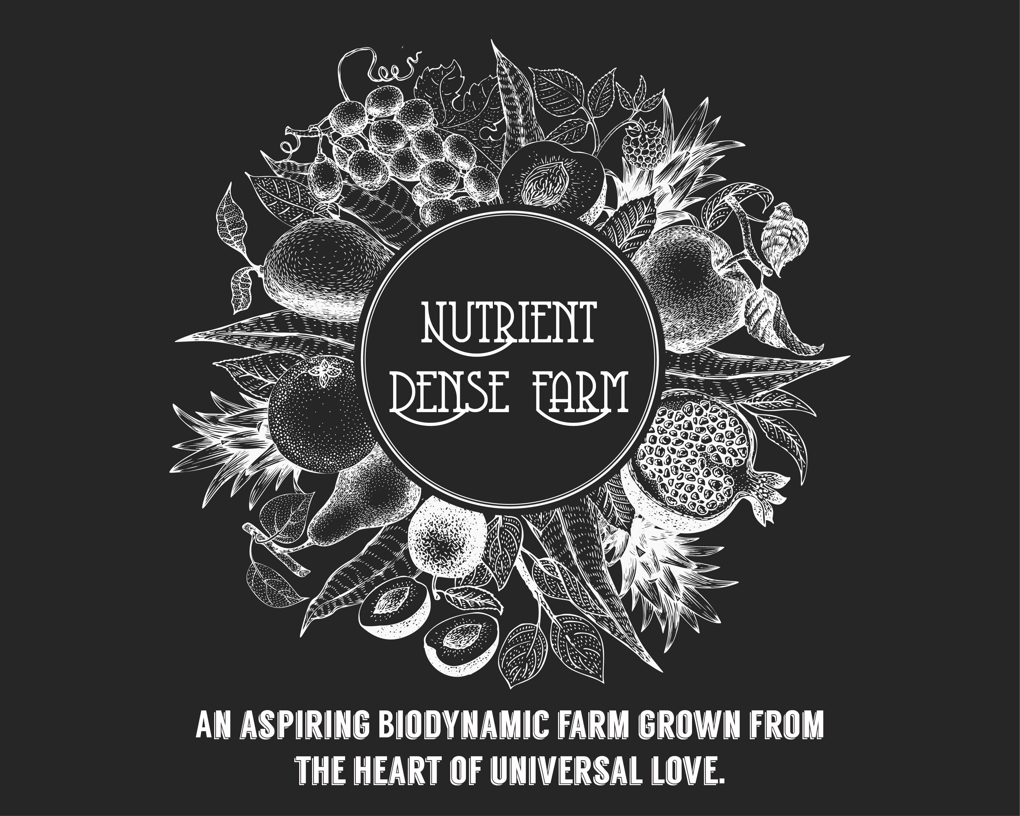 Logo Design entry 1984603 submitted by Deven G to the Logo Design for Nutrient Dense Farm run by Lindsay and Stefan