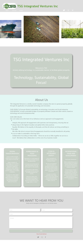 Web Design entry 1989362 submitted by zoki169 to the Web Design for TSG Integrated Ventures run by tukdat