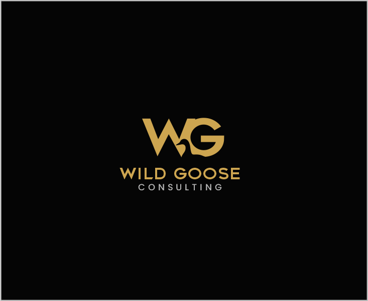 Logo Design entry 2006680 submitted by robertdc to the Logo Design for WILD GOOSE run by csaldanha00