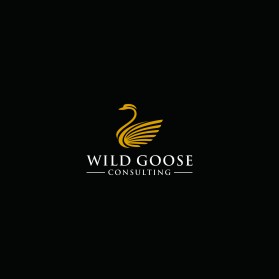 Logo Design Entry 2006698 submitted by berkah to the contest for WILD GOOSE run by csaldanha00
