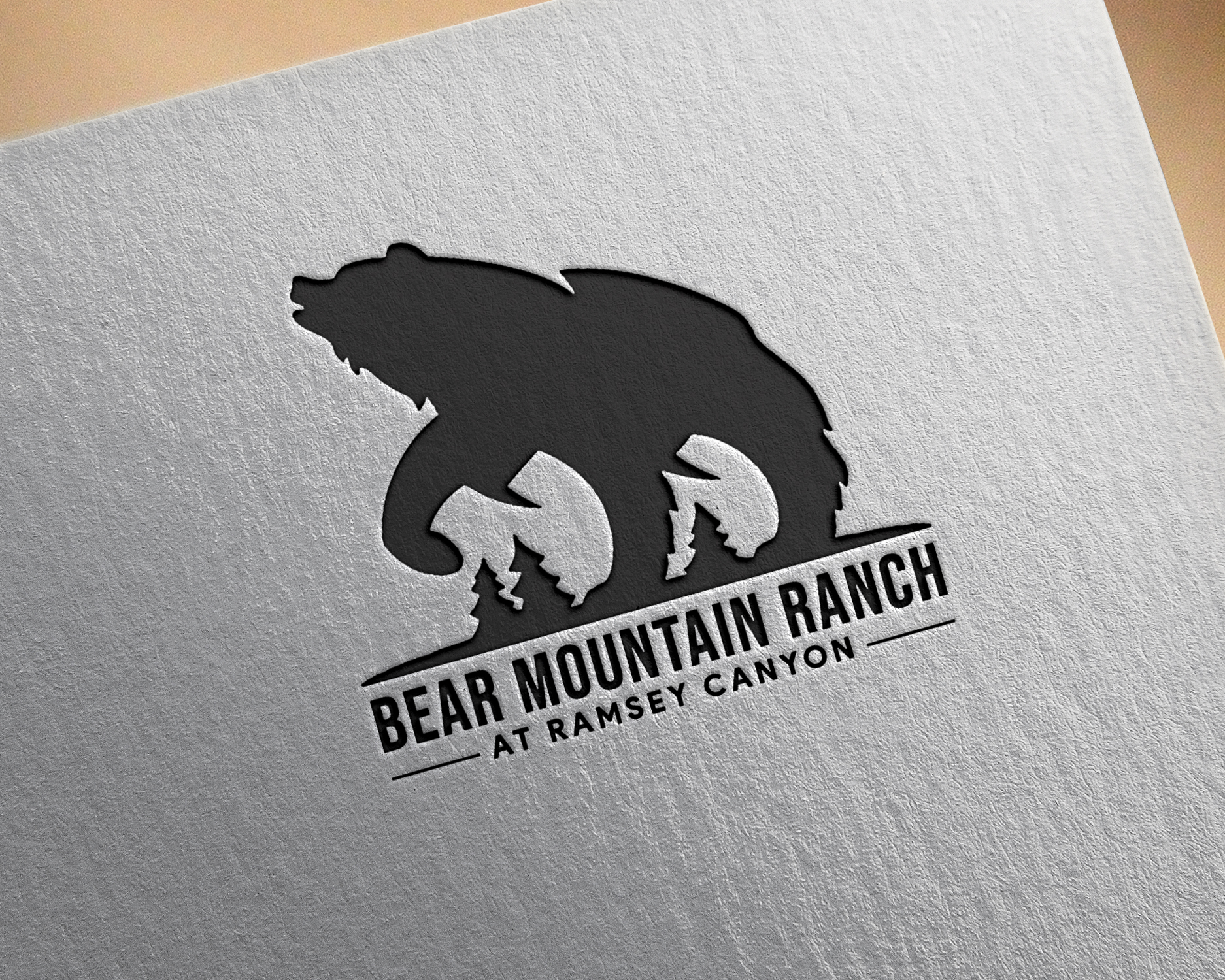 Logo Design entry 2083244 submitted by JFeliz