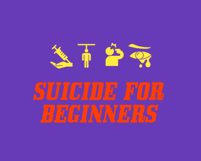 Graphic Design entry 2010148 submitted by PR CREATIONS to the Graphic Design for Suicide for Beginners run by TDP