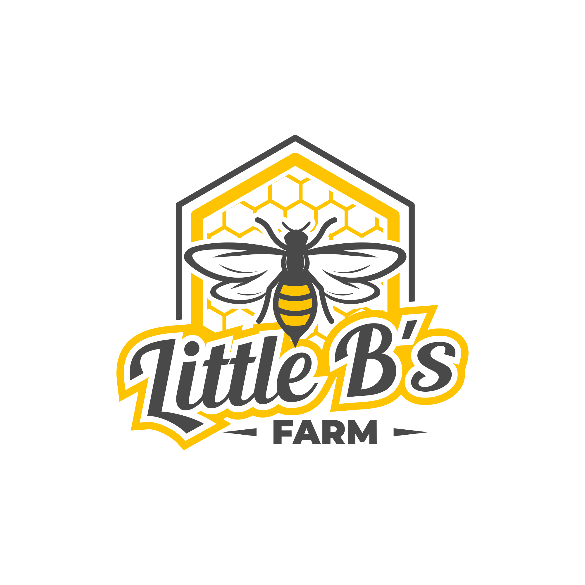 Fancy Bee Logo Design
