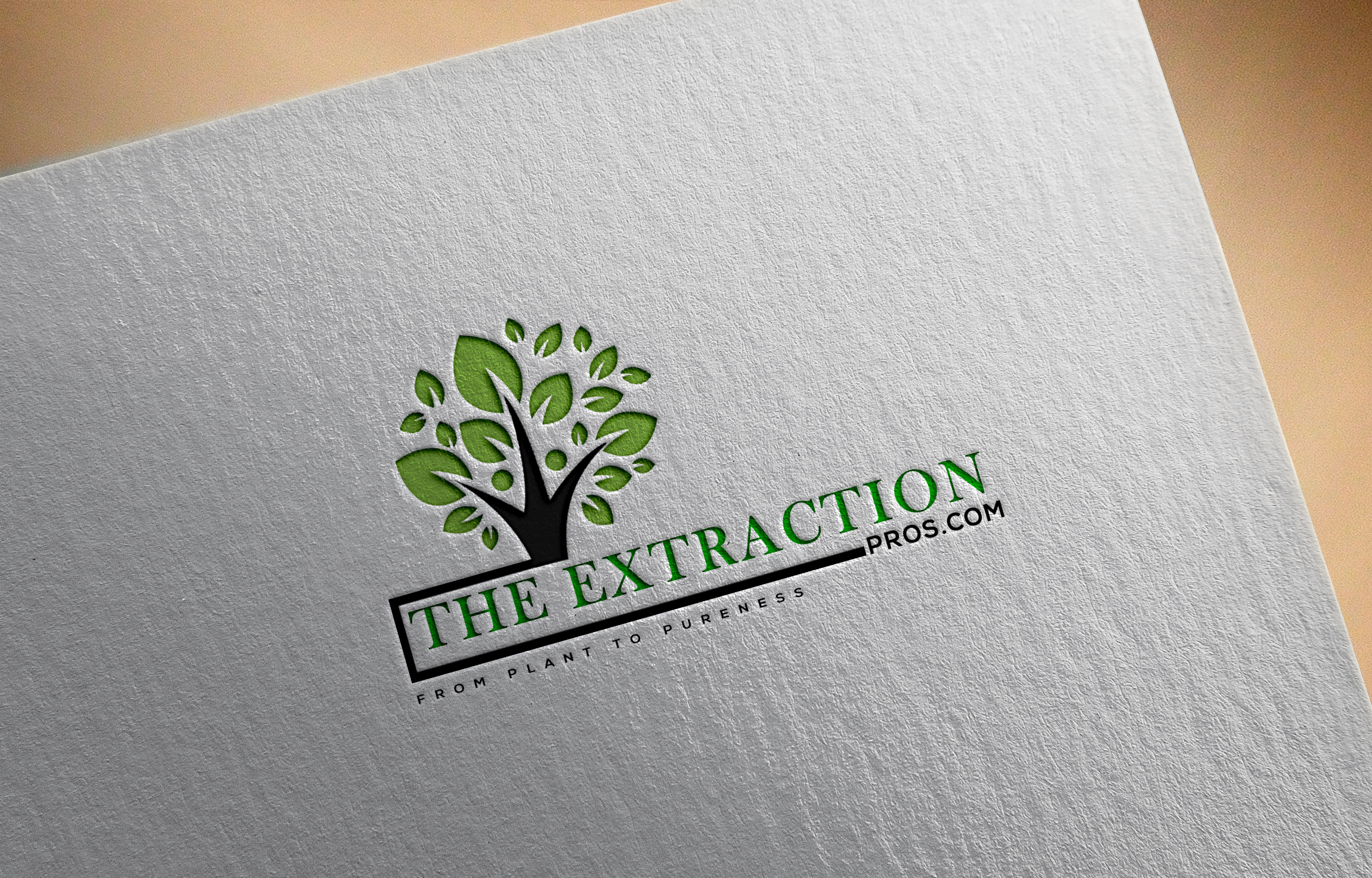 Logo Design entry 2141685 submitted by Naziur rahman