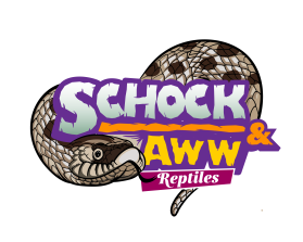 Logo Design entry 2075585 submitted by Salman to the Logo Design for Schock and Aww Reptiles run by Littleschockie