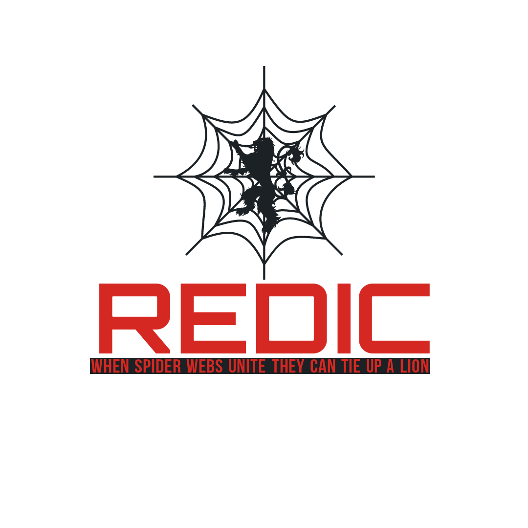 Logo Design entry 2075801 submitted by Degart to the Logo Design for REDIC run by byrdman316