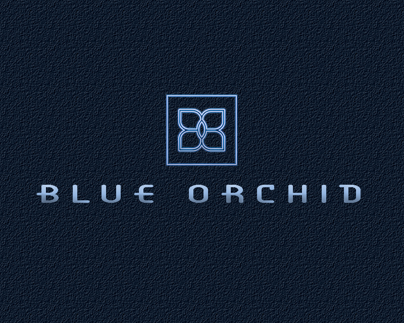 Logo Design entry 2077831 submitted by Kimbucha1 to the Logo Design for Blue Orchid   run by blueorchid